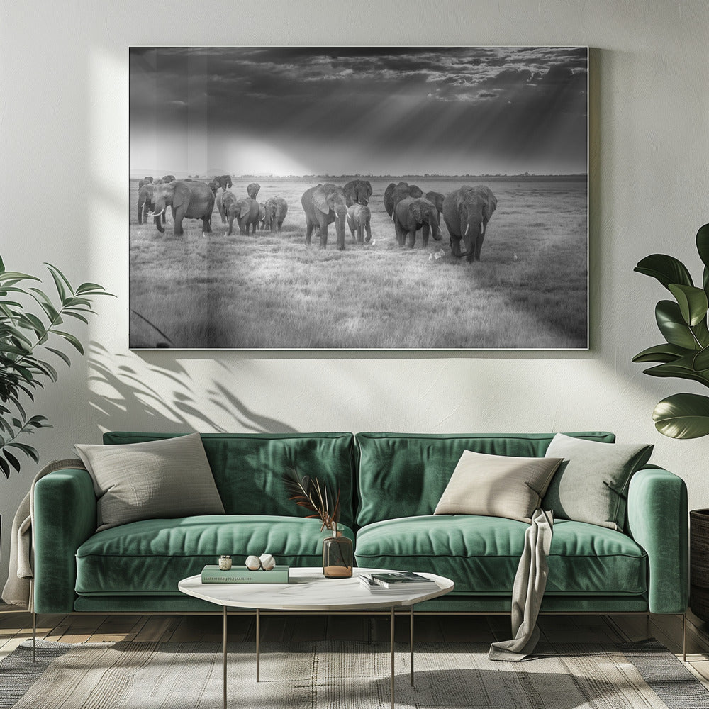 Breakfast with pachyderms | Canvas
