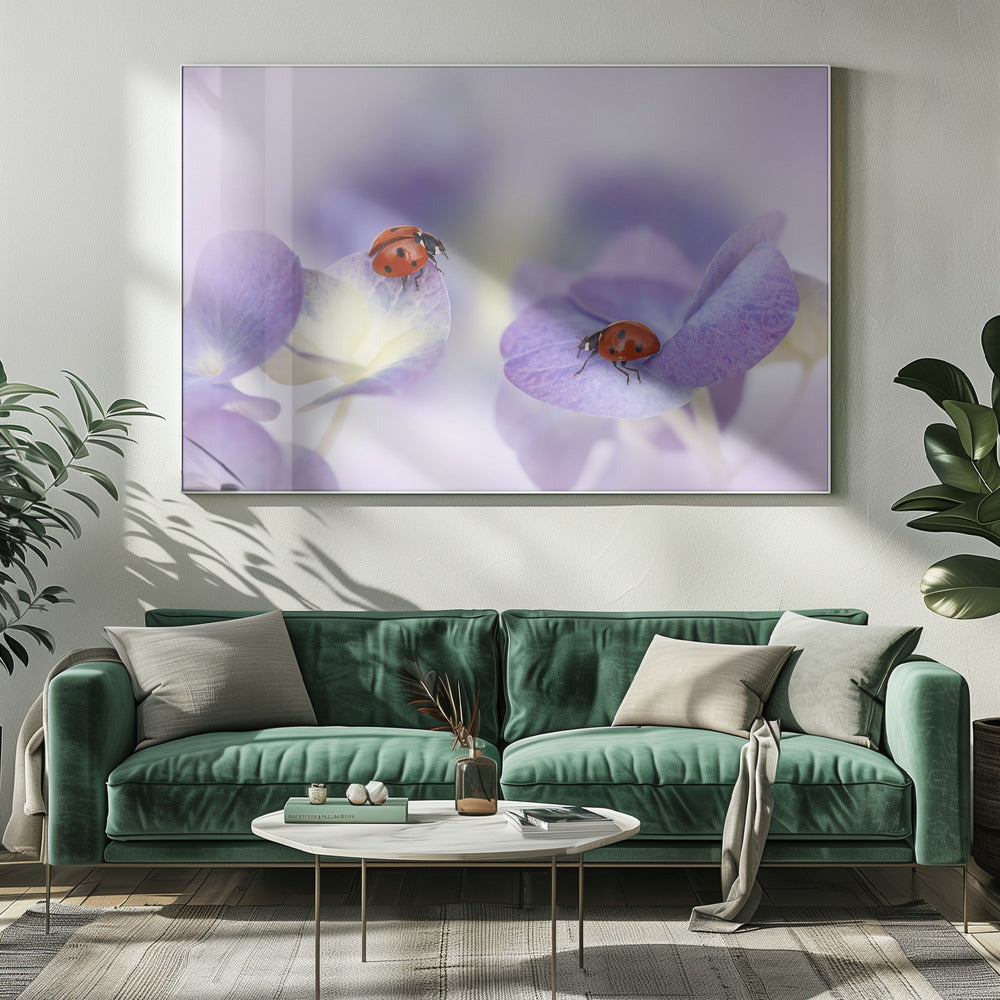 Red and purple | Canvas