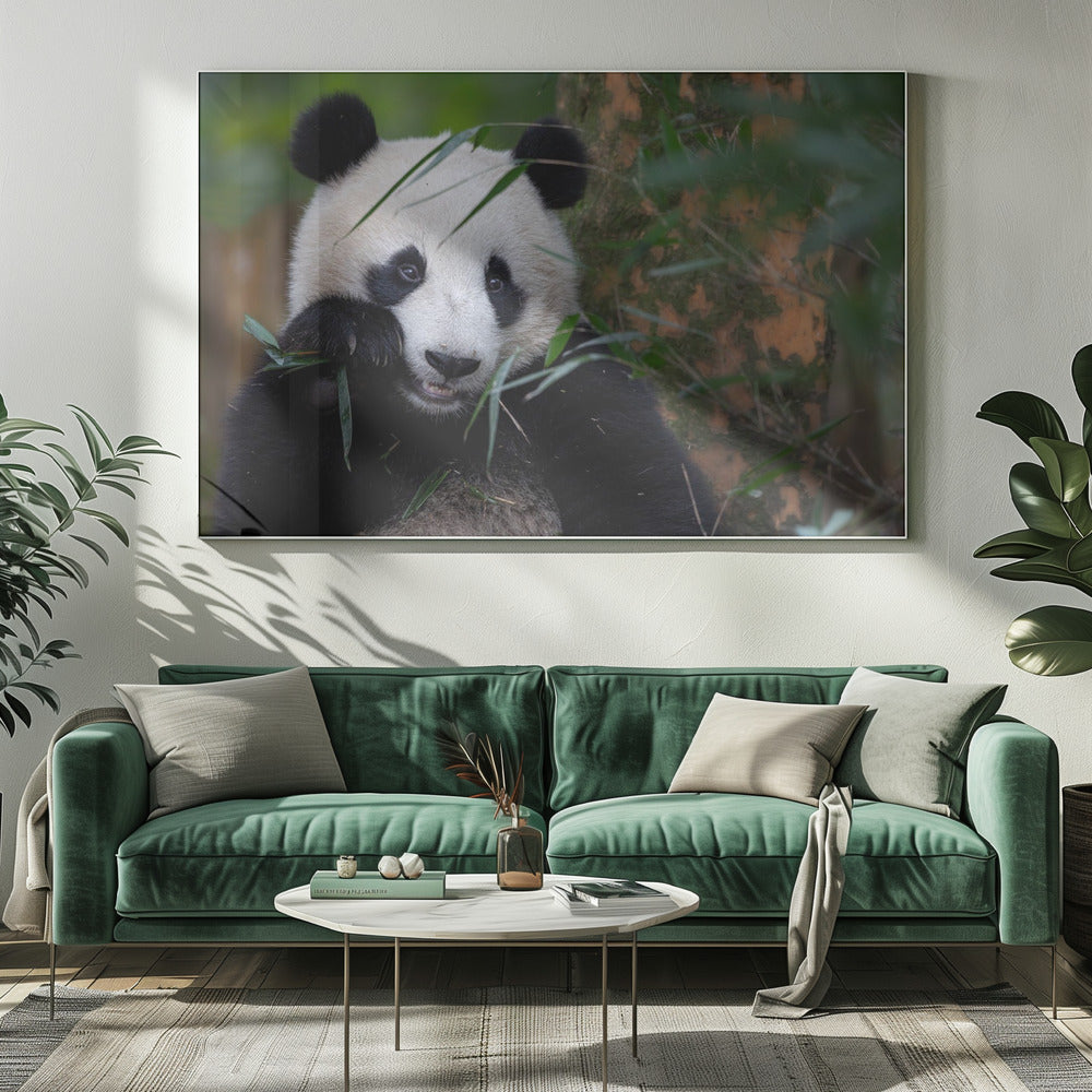 Bamboo Time | Canvas