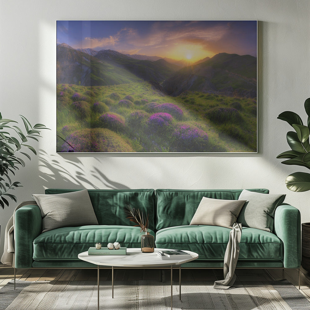 spring in show | Canvas