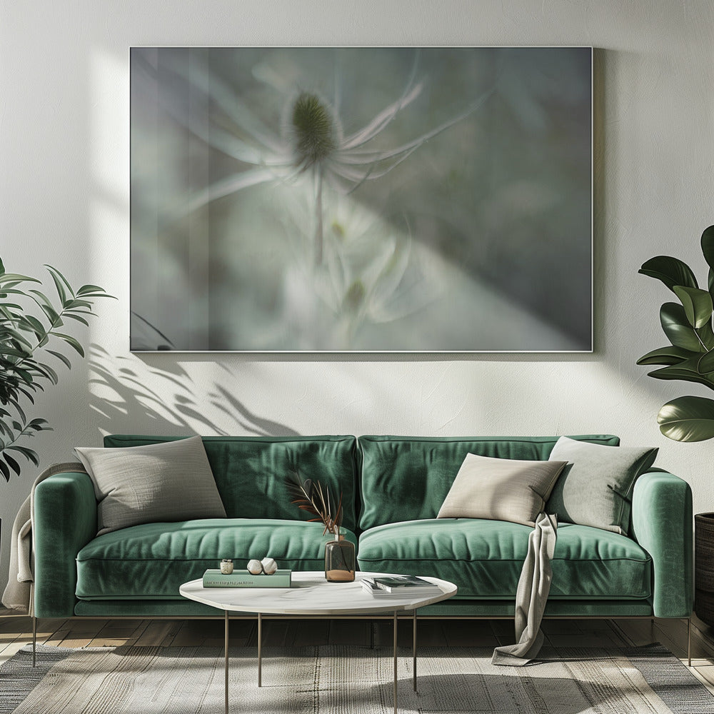 Teasel | Canvas