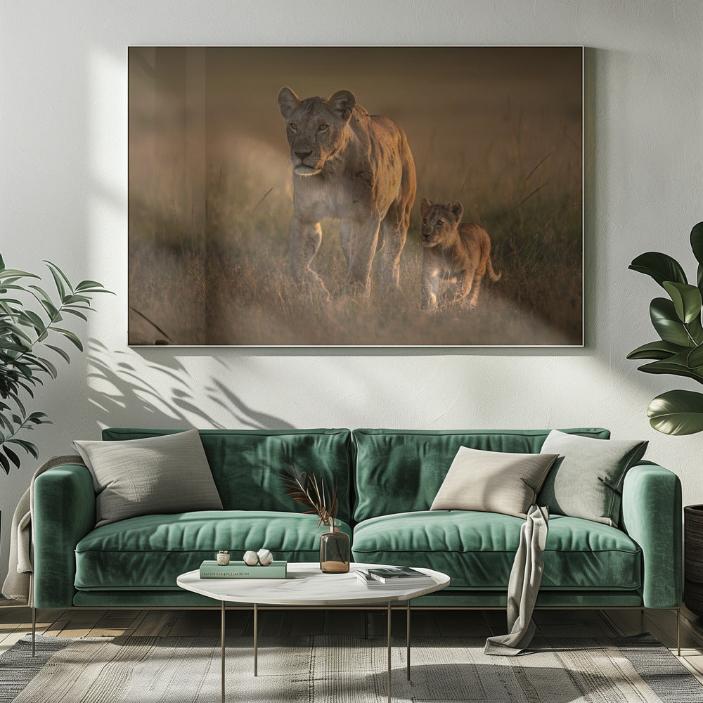 Mom lioness with cub | Canvas