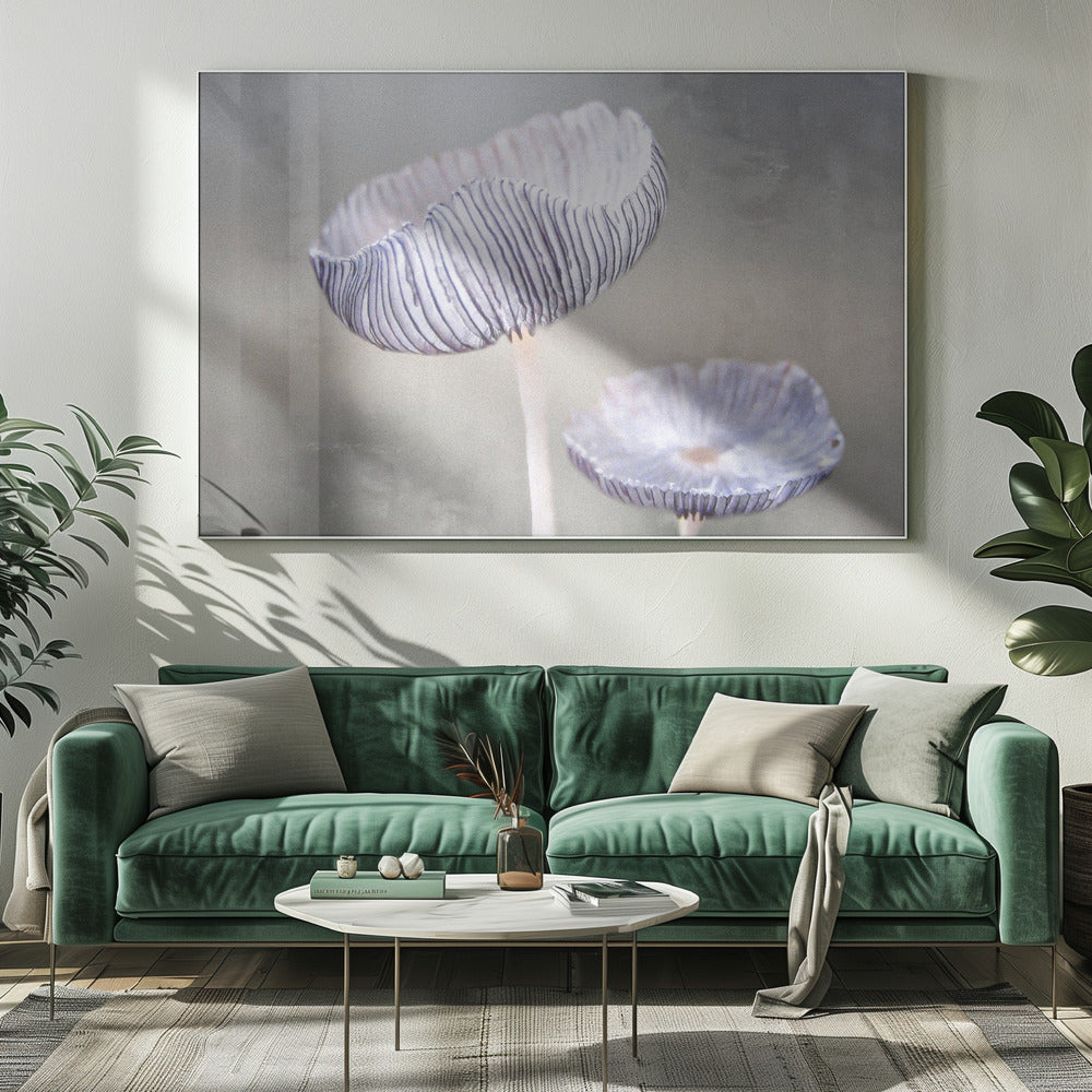 mushroom | Canvas