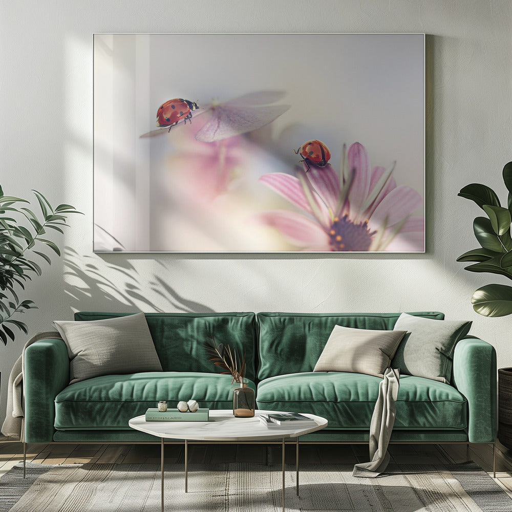 Last days of summer | Canvas