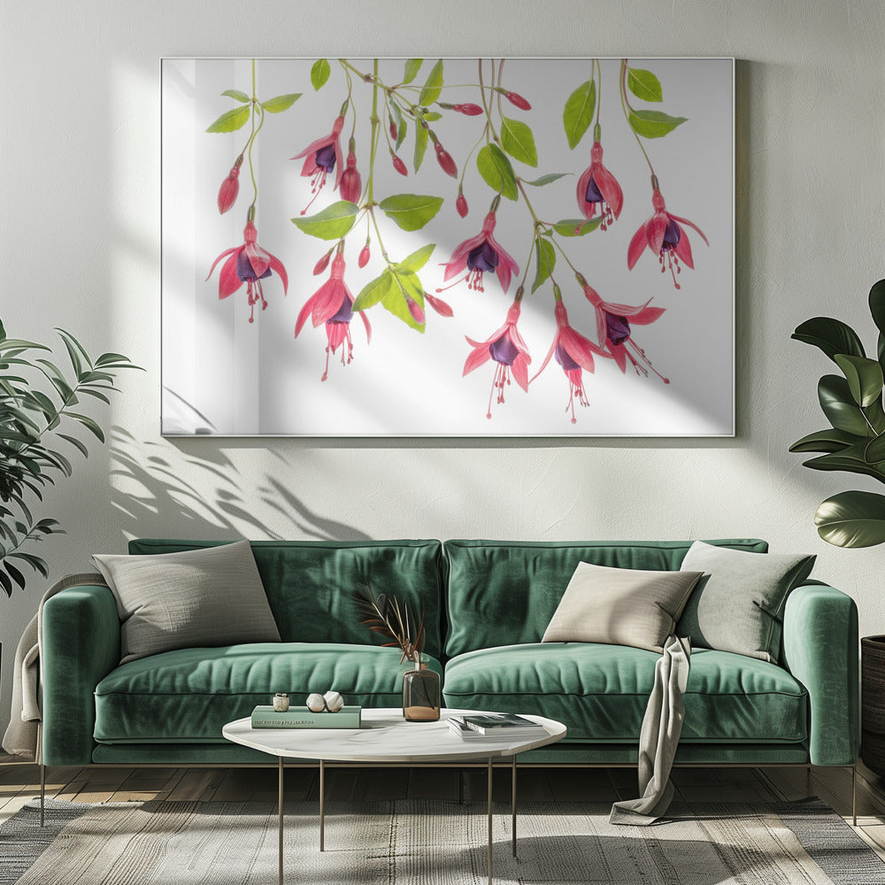 ~ Fuchsia ~ | Canvas