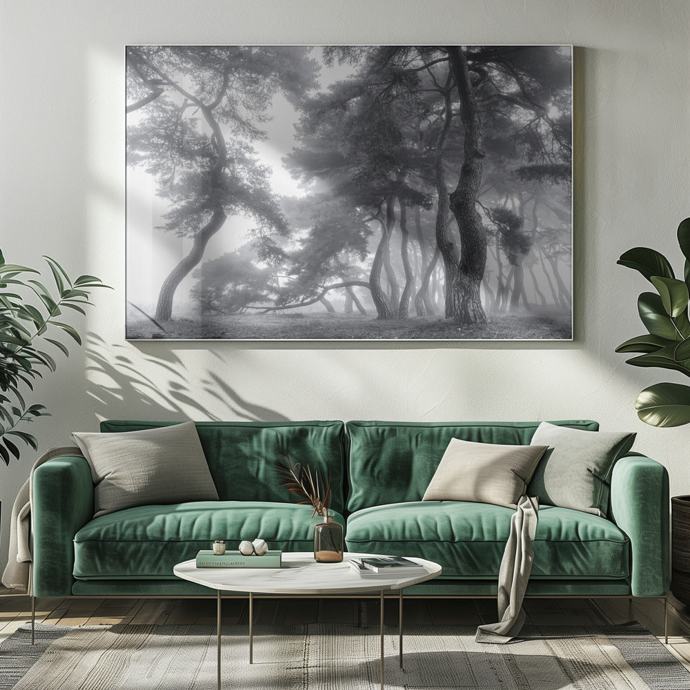 Endure for a hundred years | Canvas