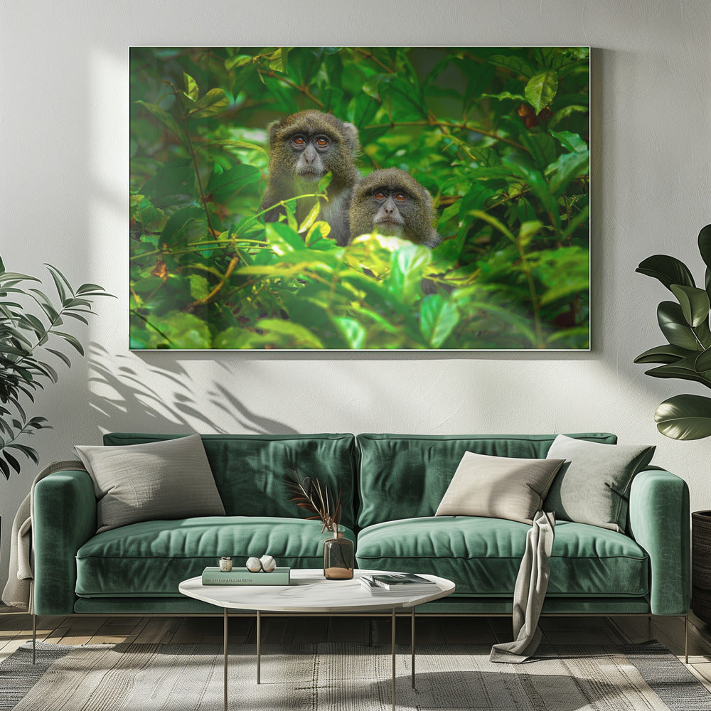 Blue Monkey | Canvas