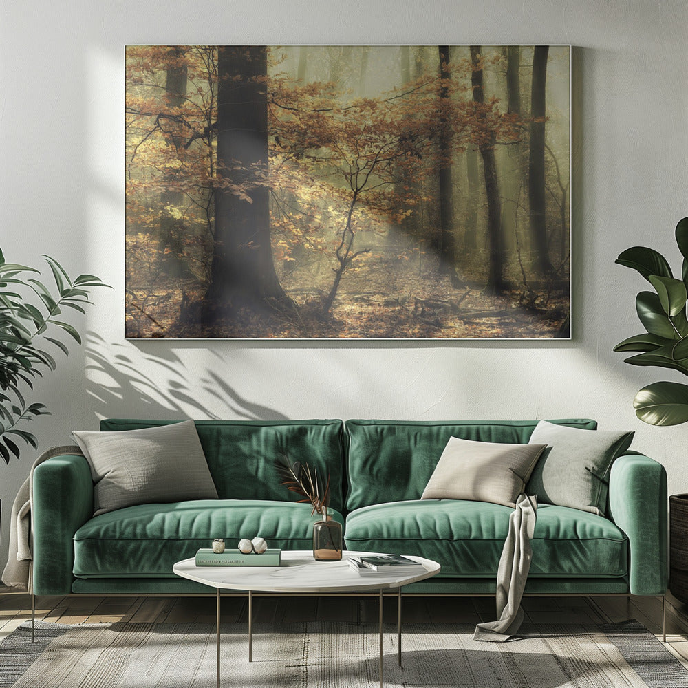 Soft fall | Canvas