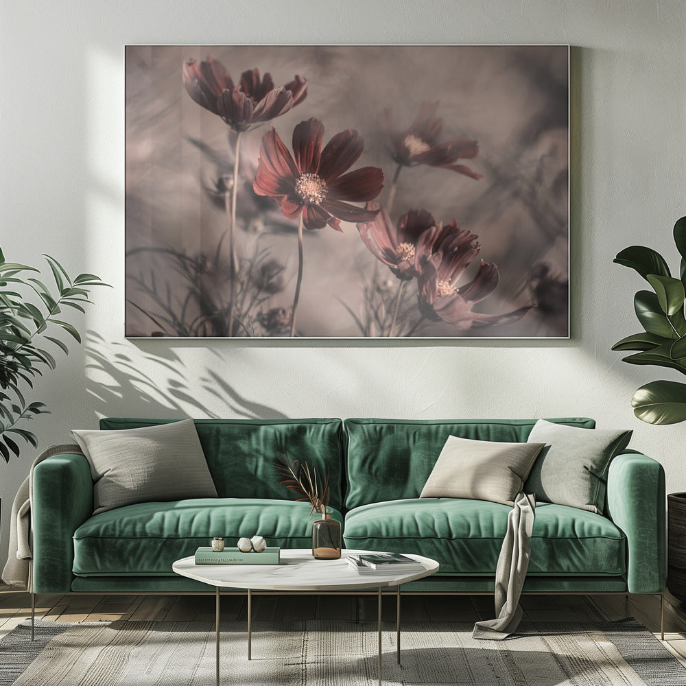 Cosmos 2019 | Canvas