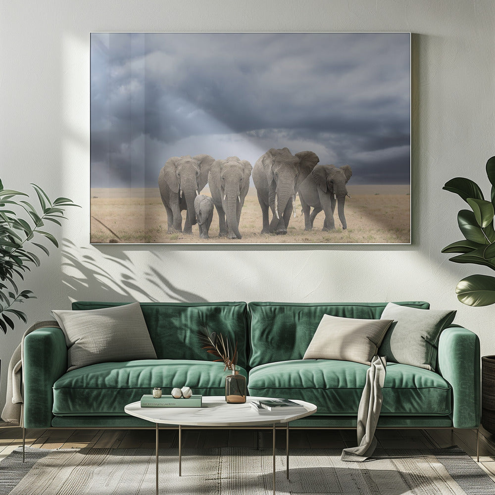 Elephant Walk | Canvas