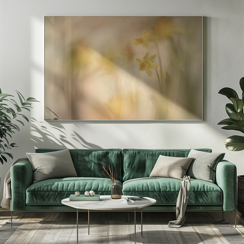 Daffodils | Canvas