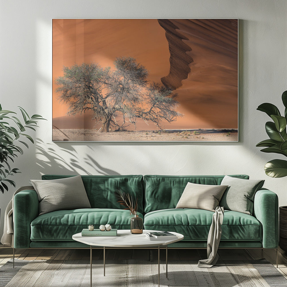 Acacia in the desert | Canvas