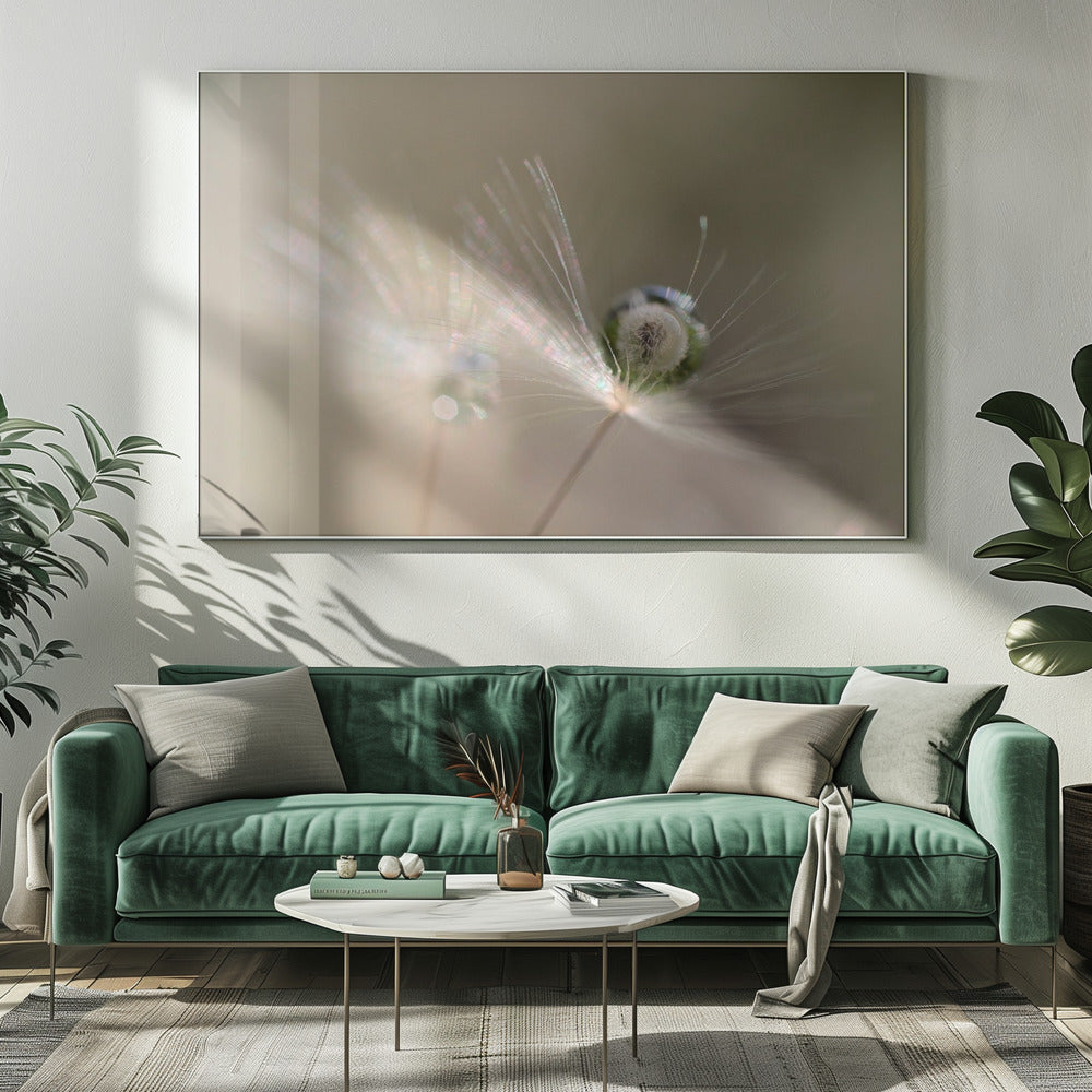 Star of dandelion | Canvas