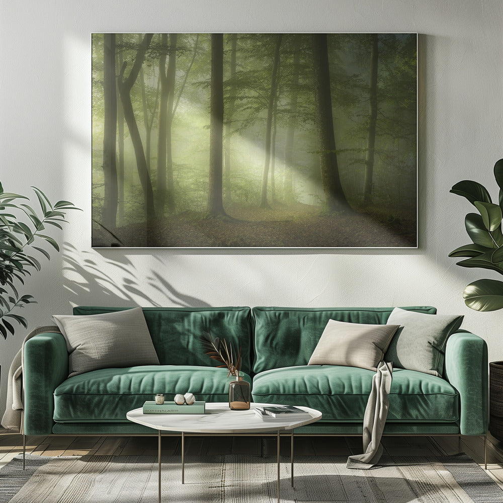 Mysterious Spring Morning | Canvas