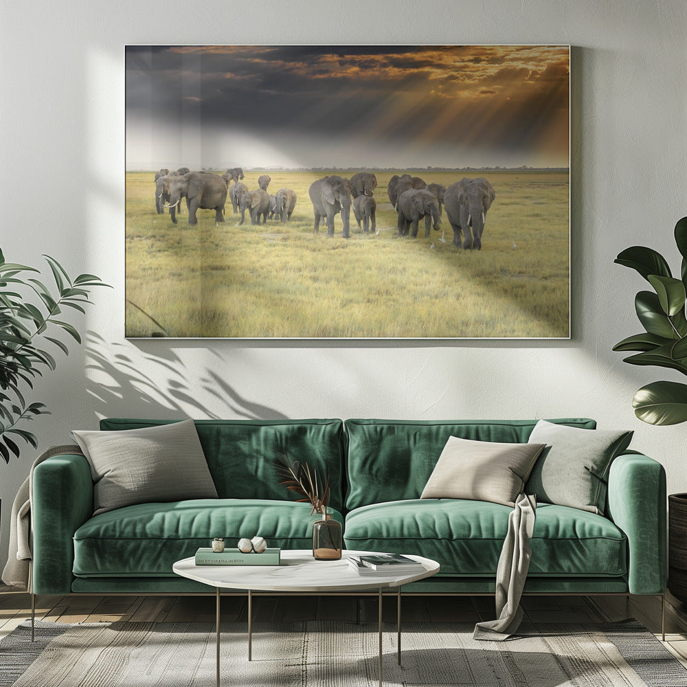 For the love of elephants | Canvas