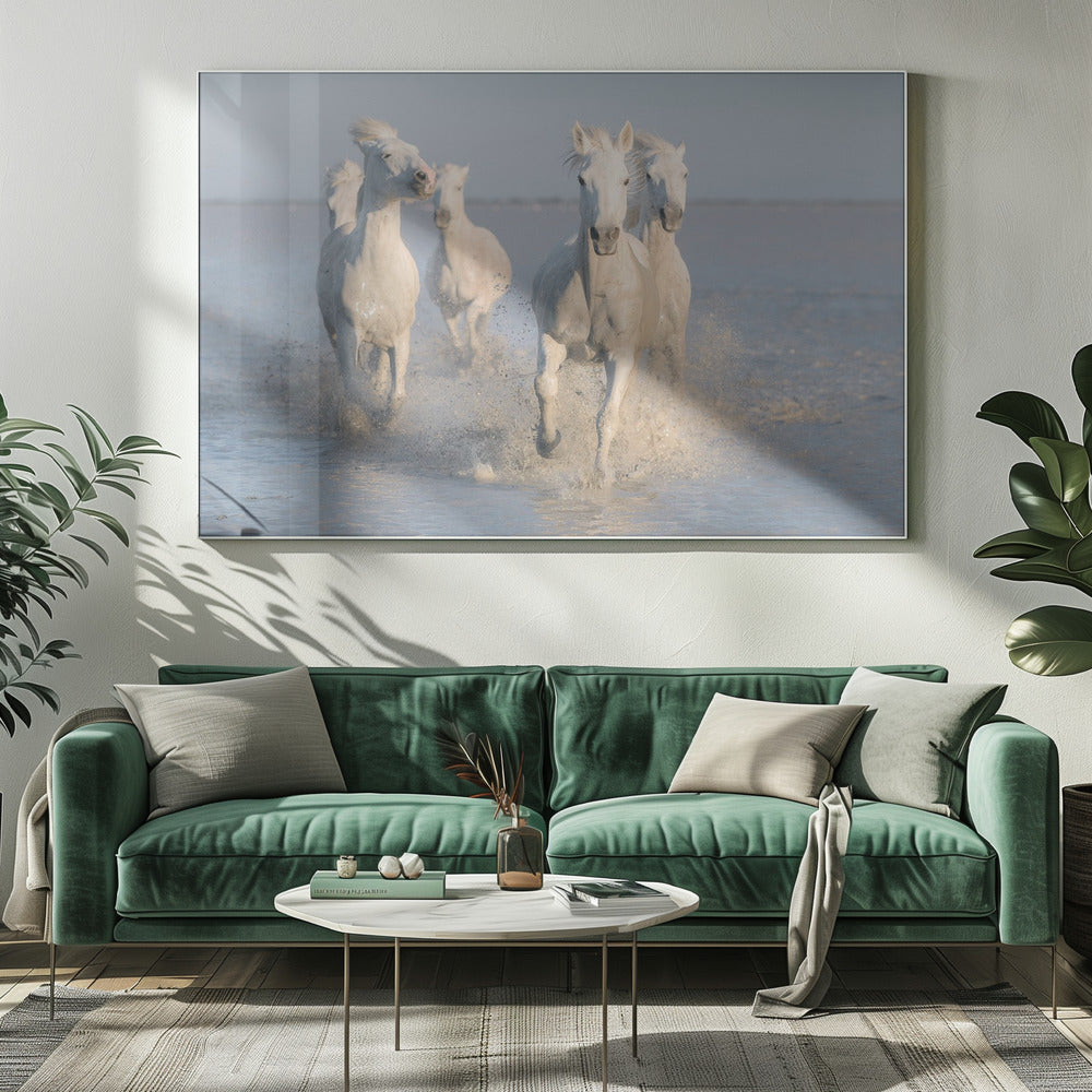 horses | Canvas