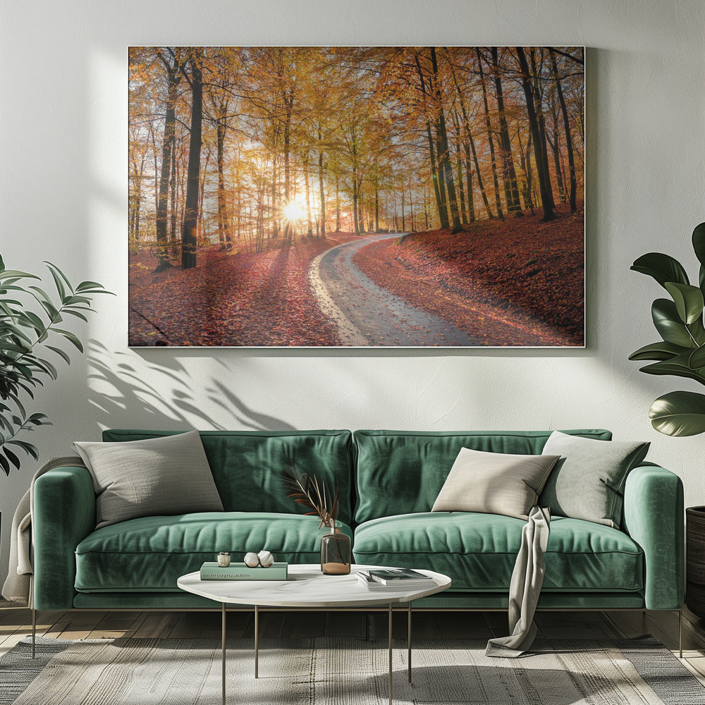 Road in SÃ¶derÃ¥sen nationalpark, Sweden | Canvas
