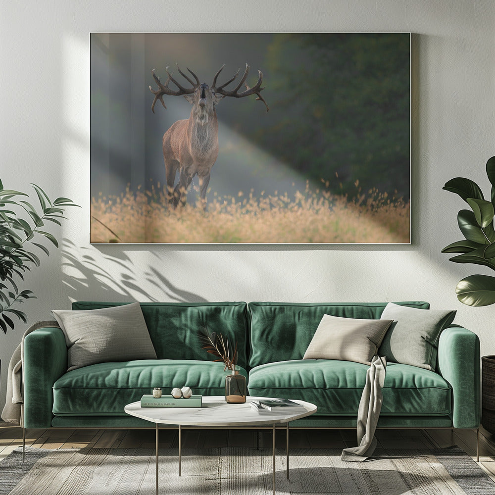Deer wedding Song | Canvas