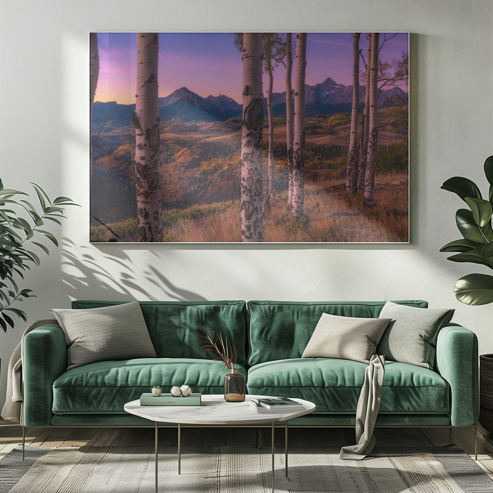 Aspen Frames | Canvas