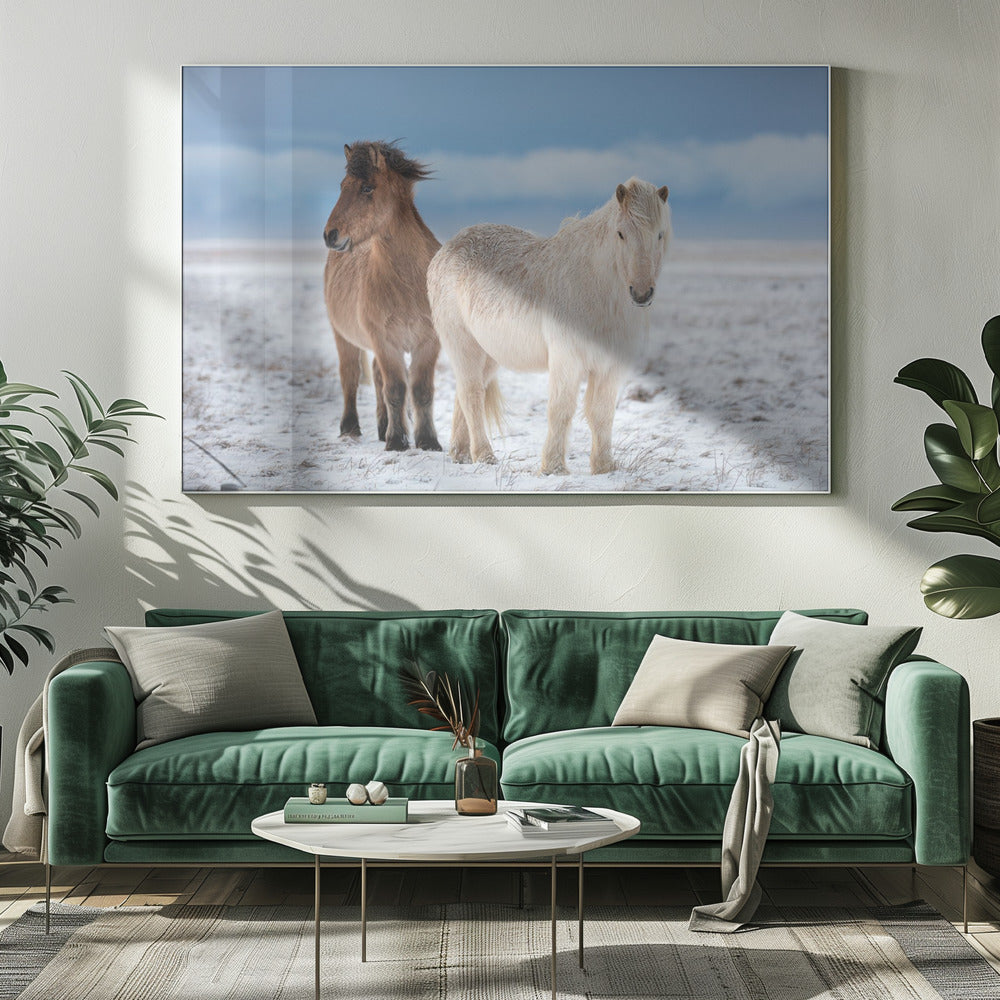 B R O T H E R S | Canvas