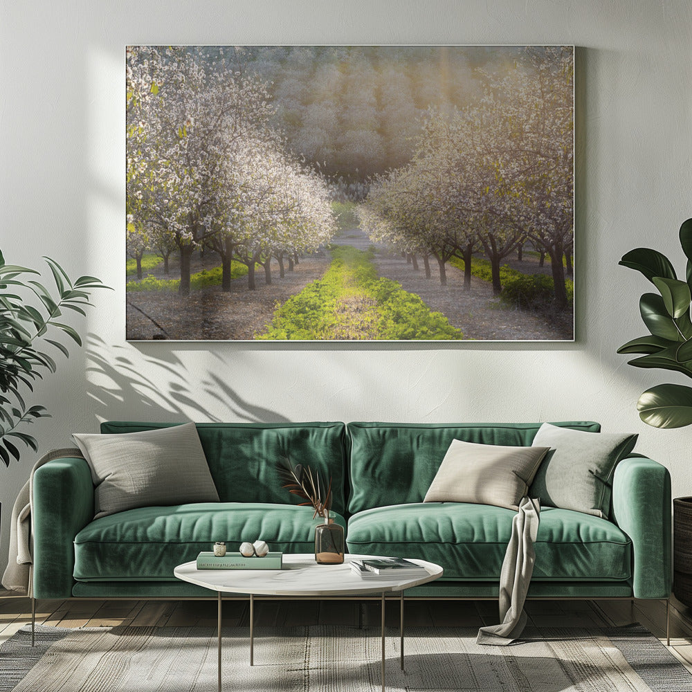 Golden Almonds | Canvas