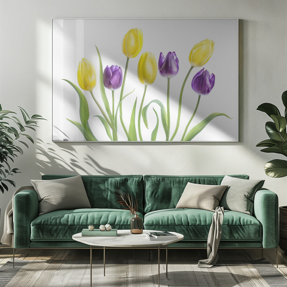 Tulip | Canvas