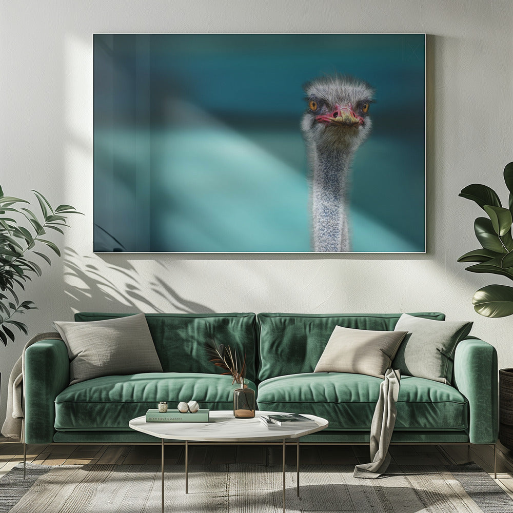 Ostrich Protecting two Poor Chicken from the Wind | Canvas