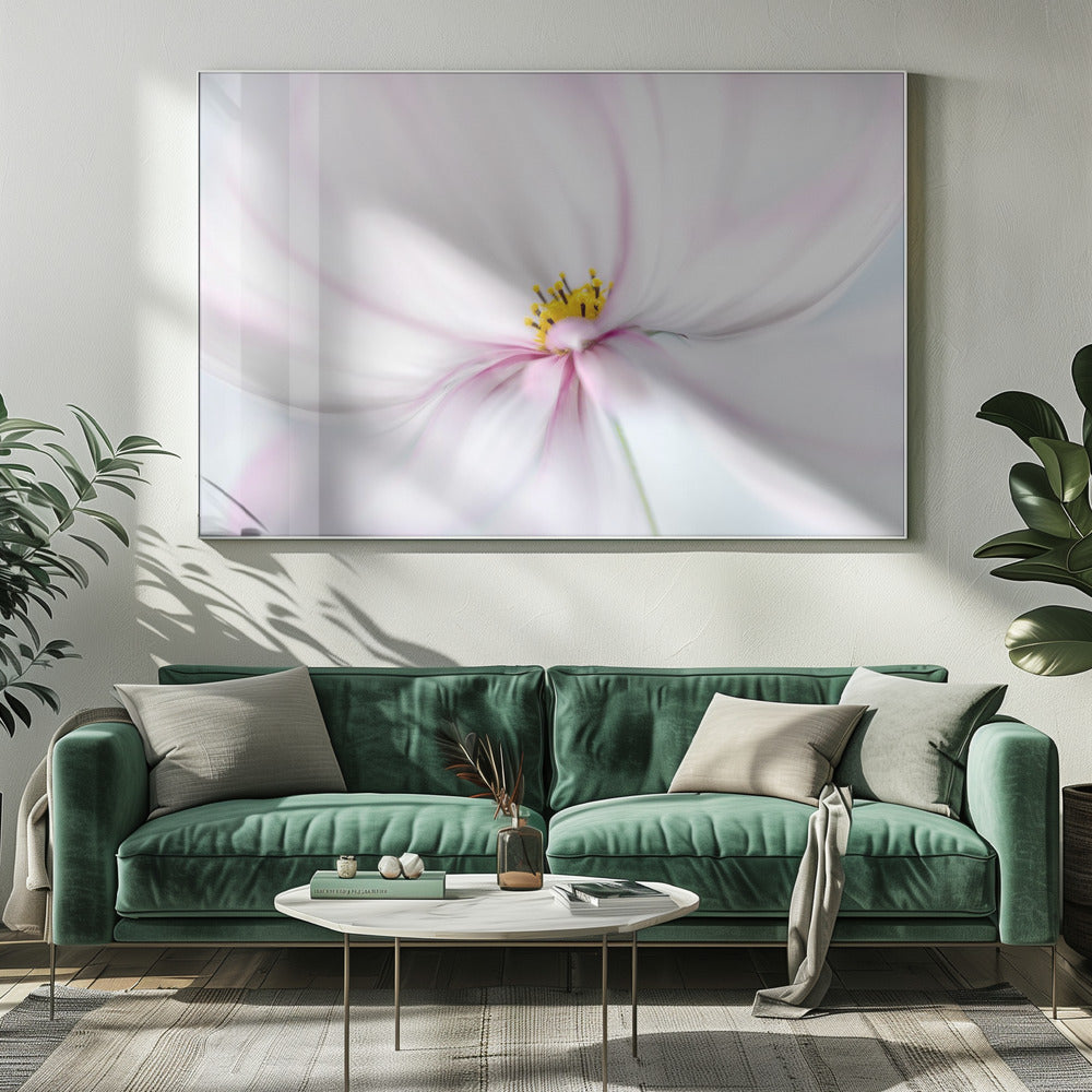 Cosmos | Canvas