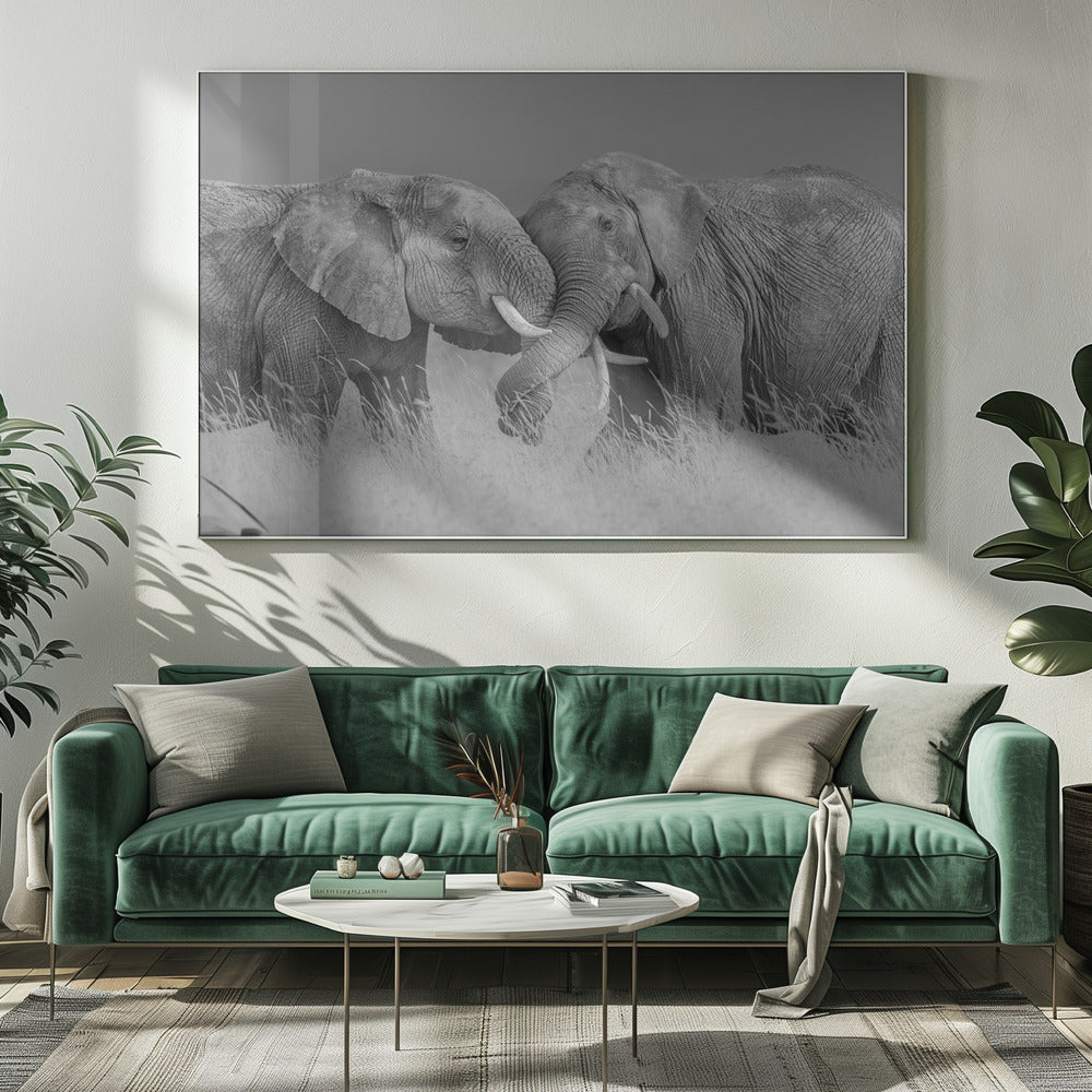 Elephant Flight | Canvas