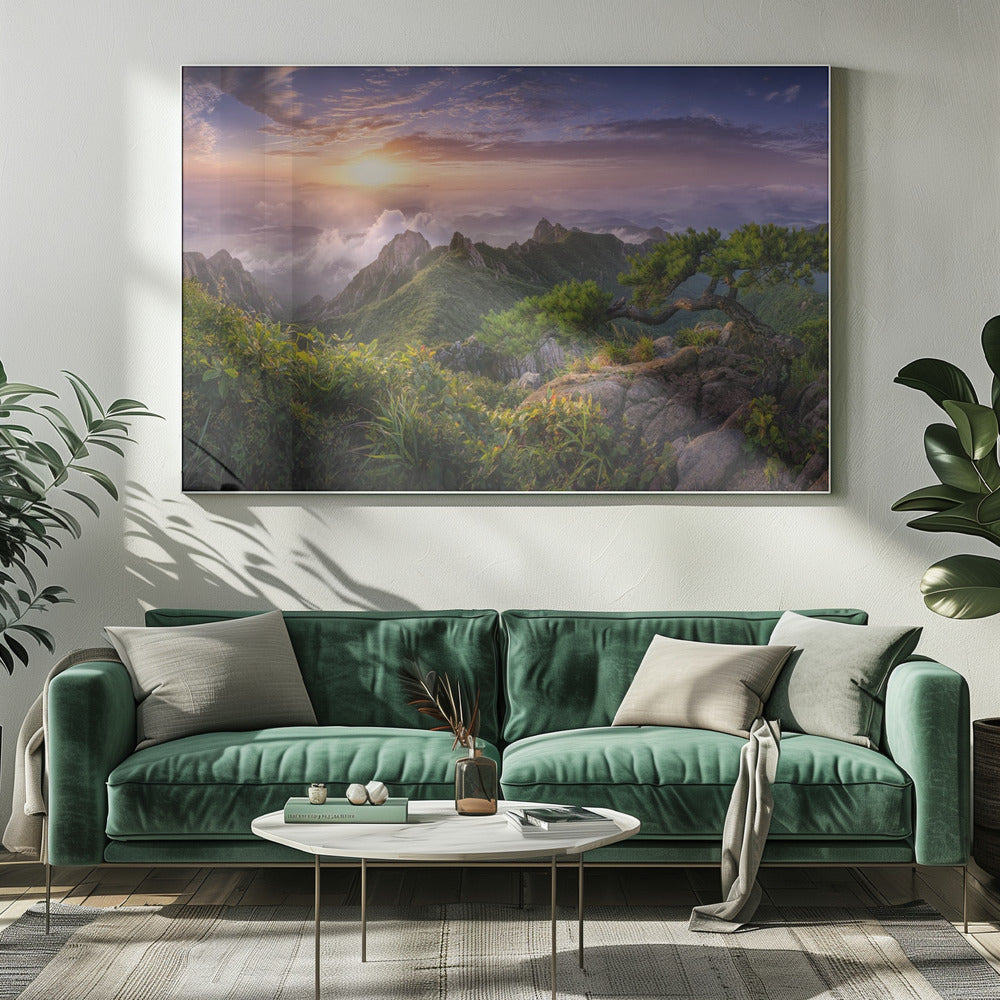 Pine tree on the rock | Canvas