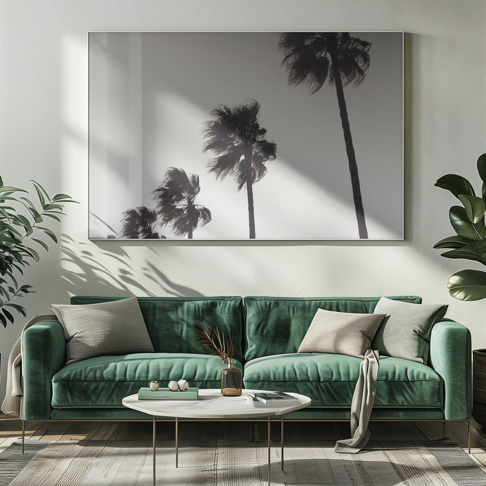 Palm_004 | Canvas