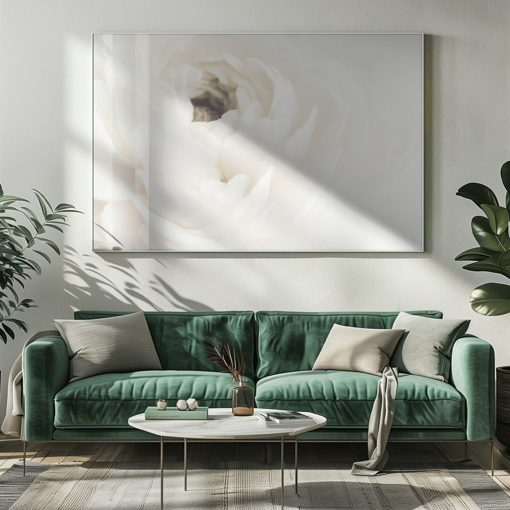 White Flower 02 | Canvas