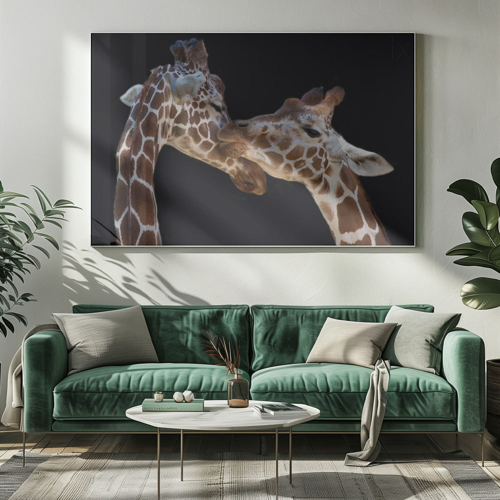 The kiss | Canvas
