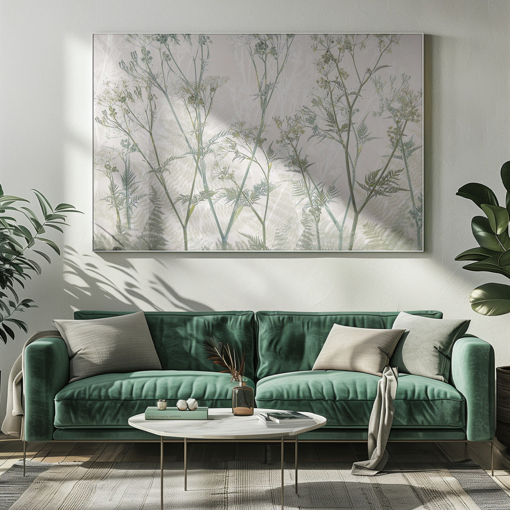 Cow parsley | Canvas