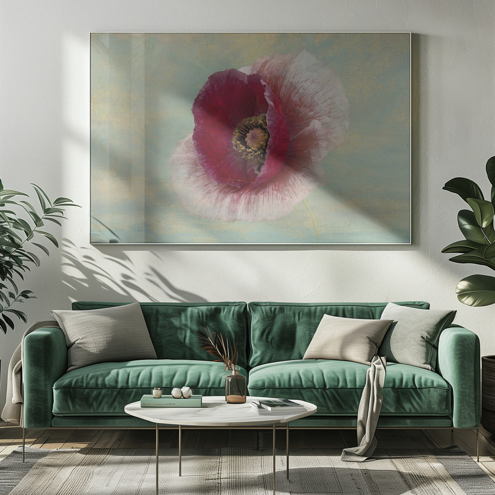 Burgundy Bonnet | Canvas