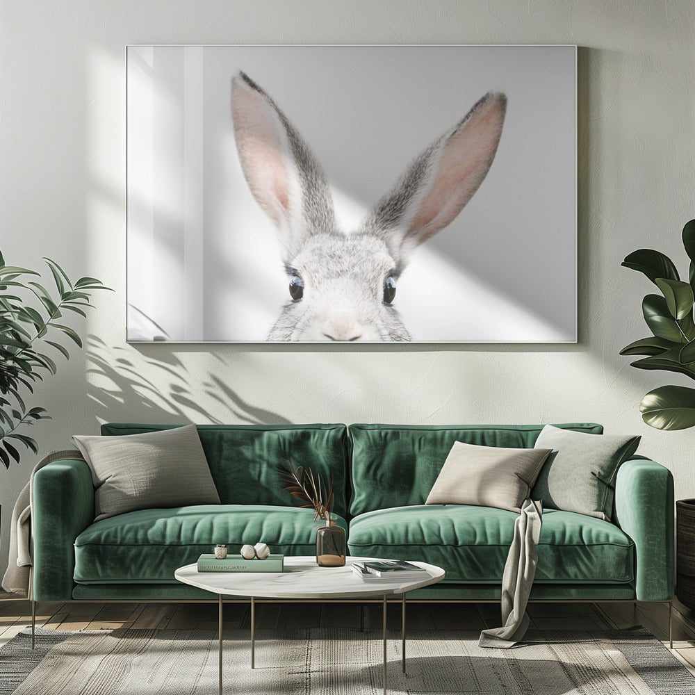 Peeking Bunny | Canvas