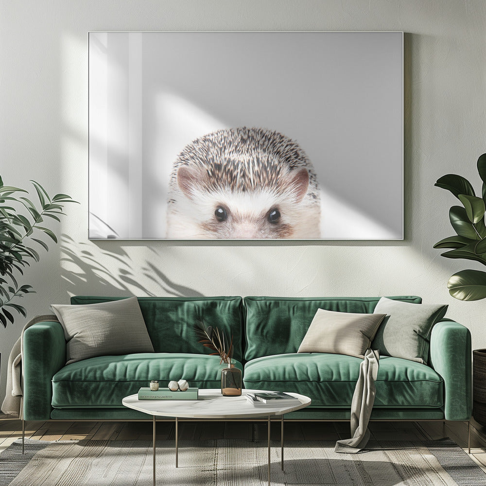 Peeking Hedgehog | Canvas