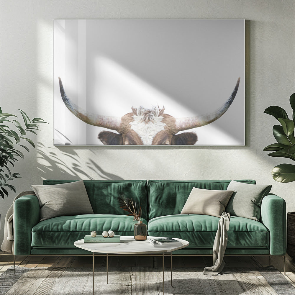 Peeking Longhorn Cow | Canvas