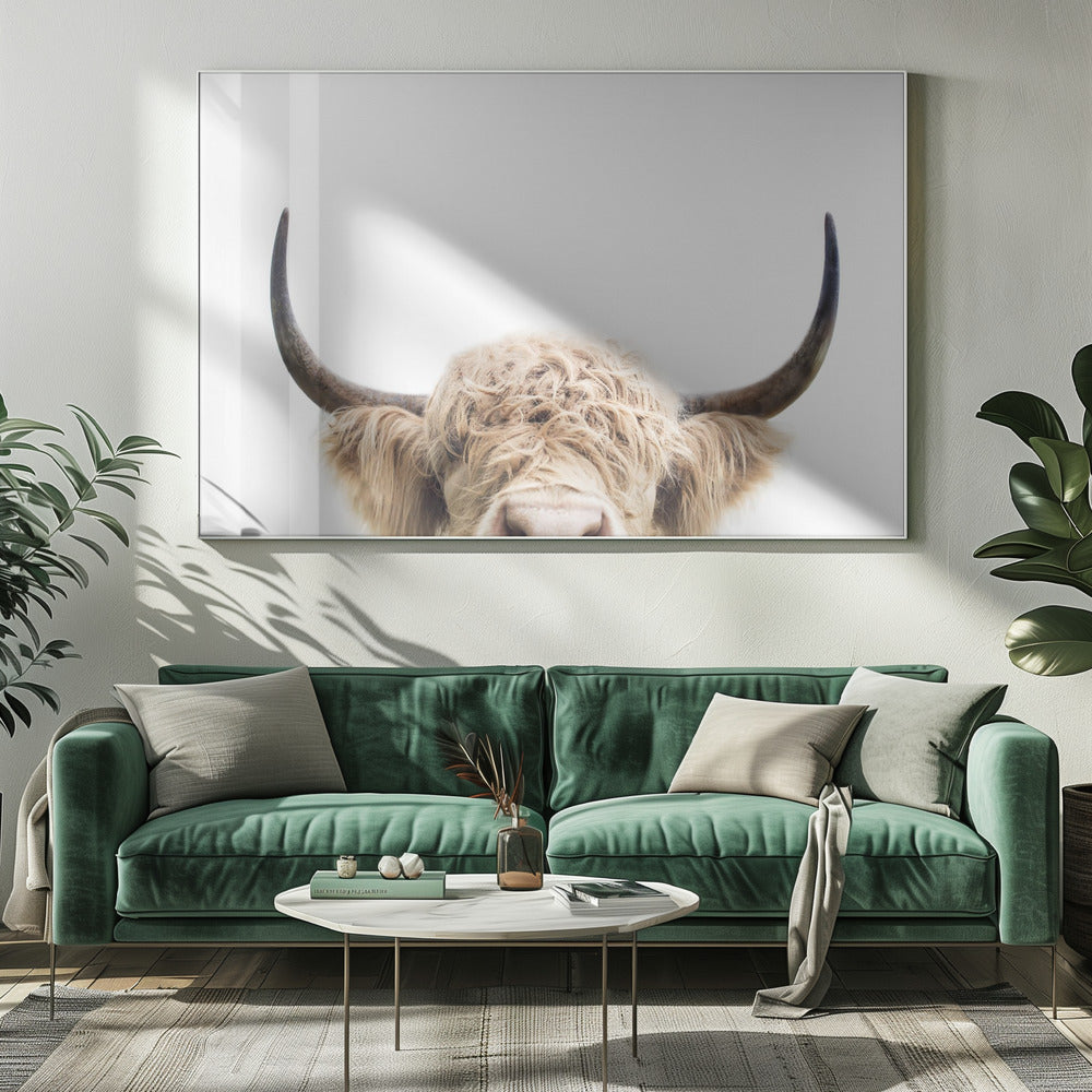 Peeking Cow | Canvas