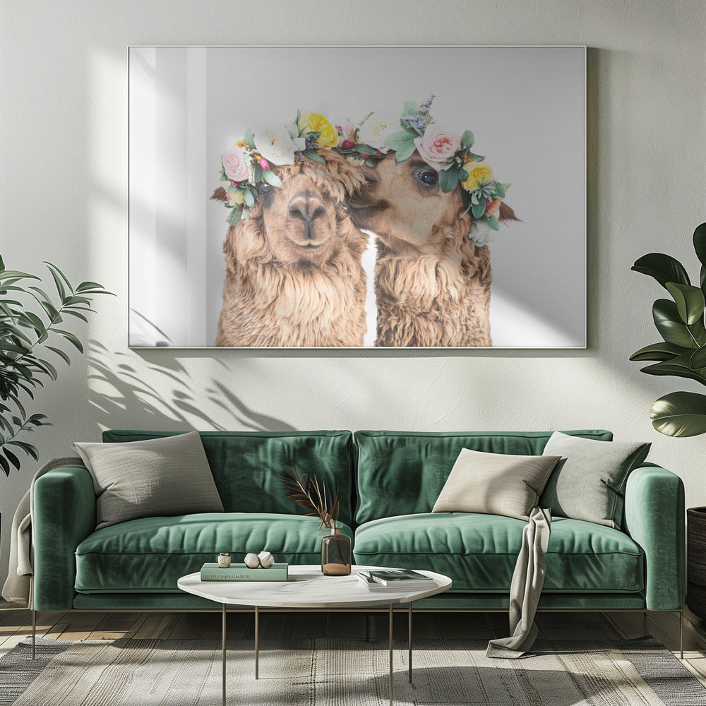 Boho Alpacas | Canvas