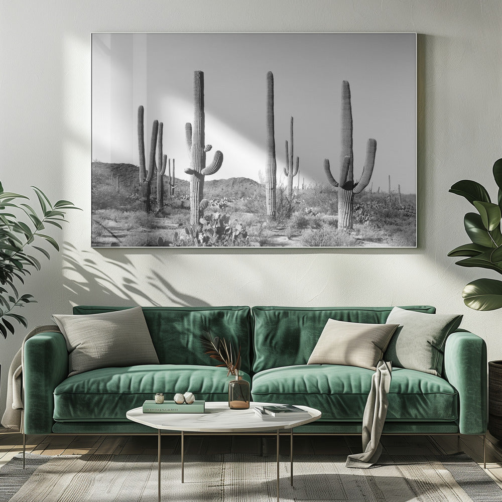 Grey Cactus Land | Canvas