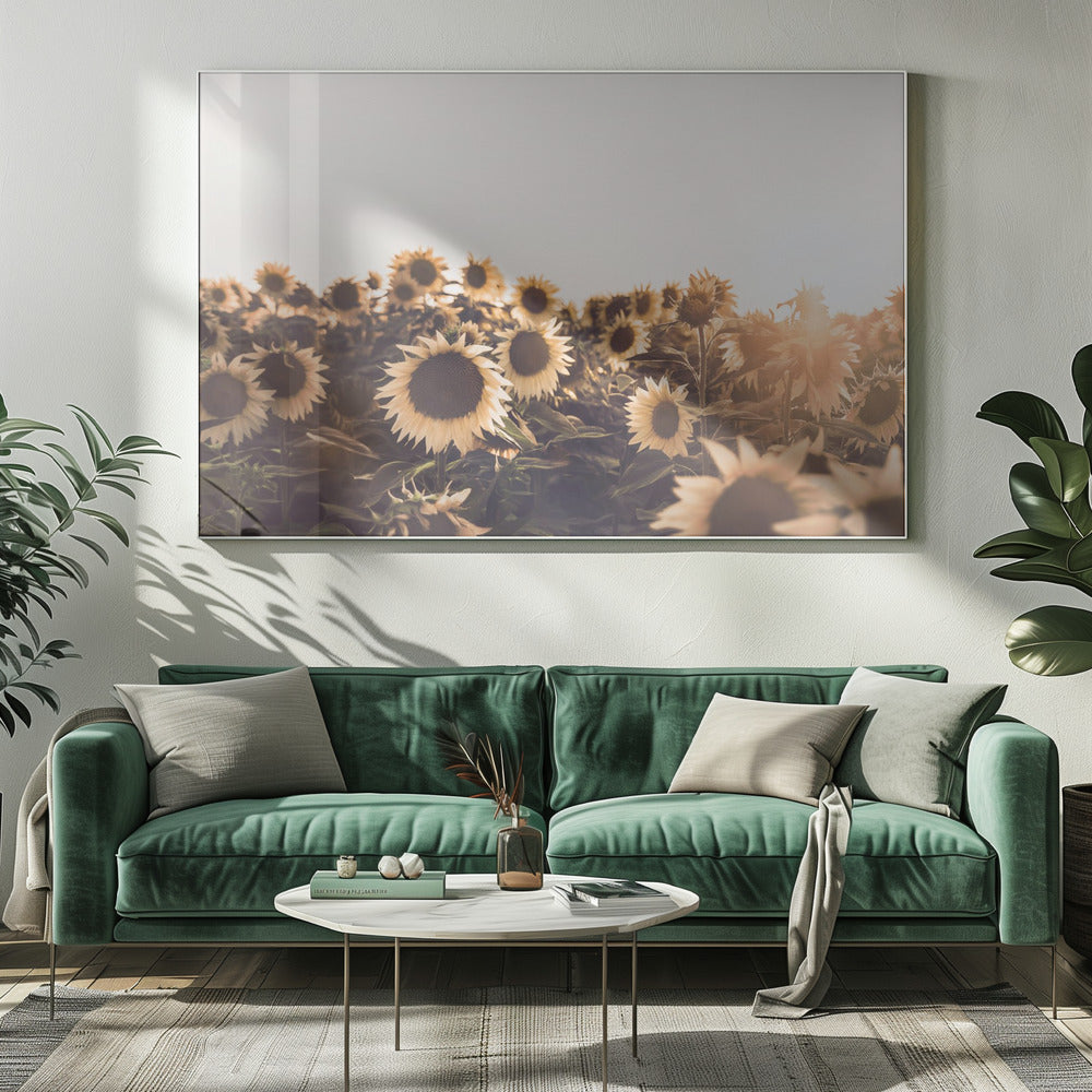 Sunflowers | Canvas