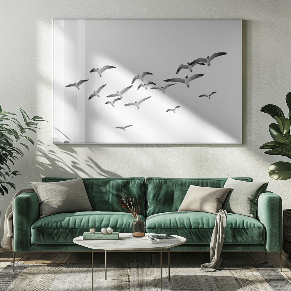 Flying Birds | Canvas