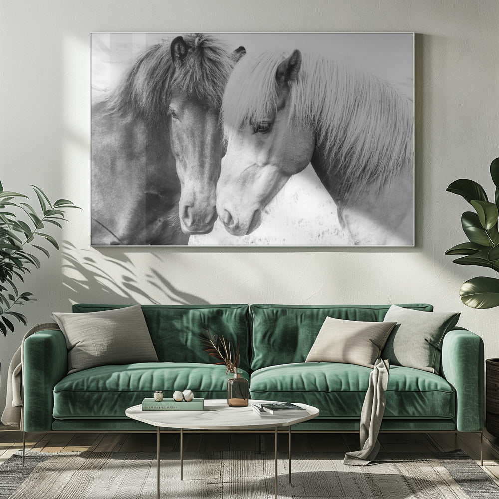 Horse Love | Canvas