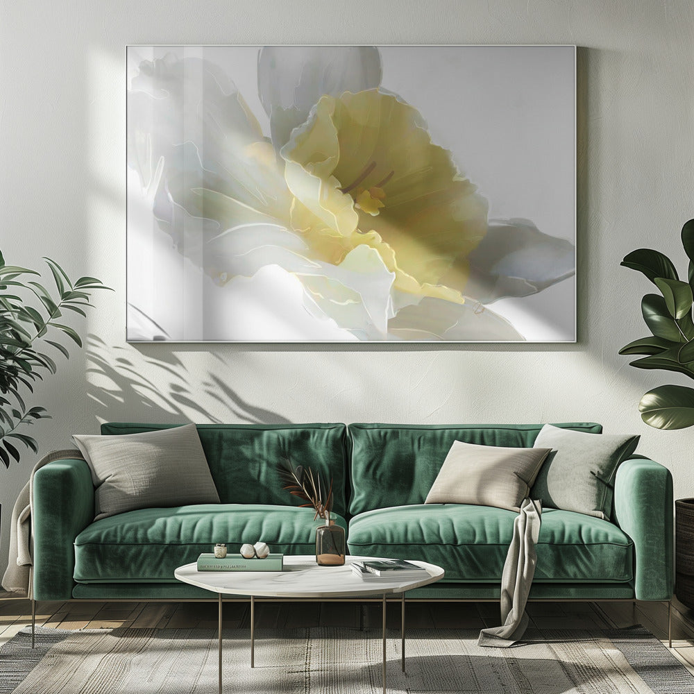 Daffodil | Canvas
