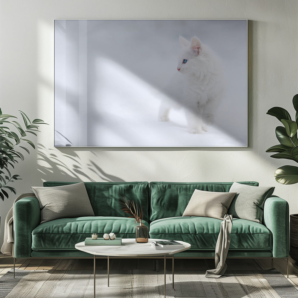 White as Snow | Canvas