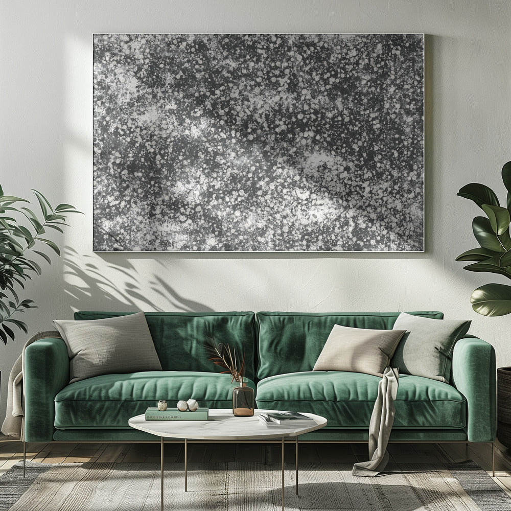 Monochromatic Splatter Pattern | Canvas