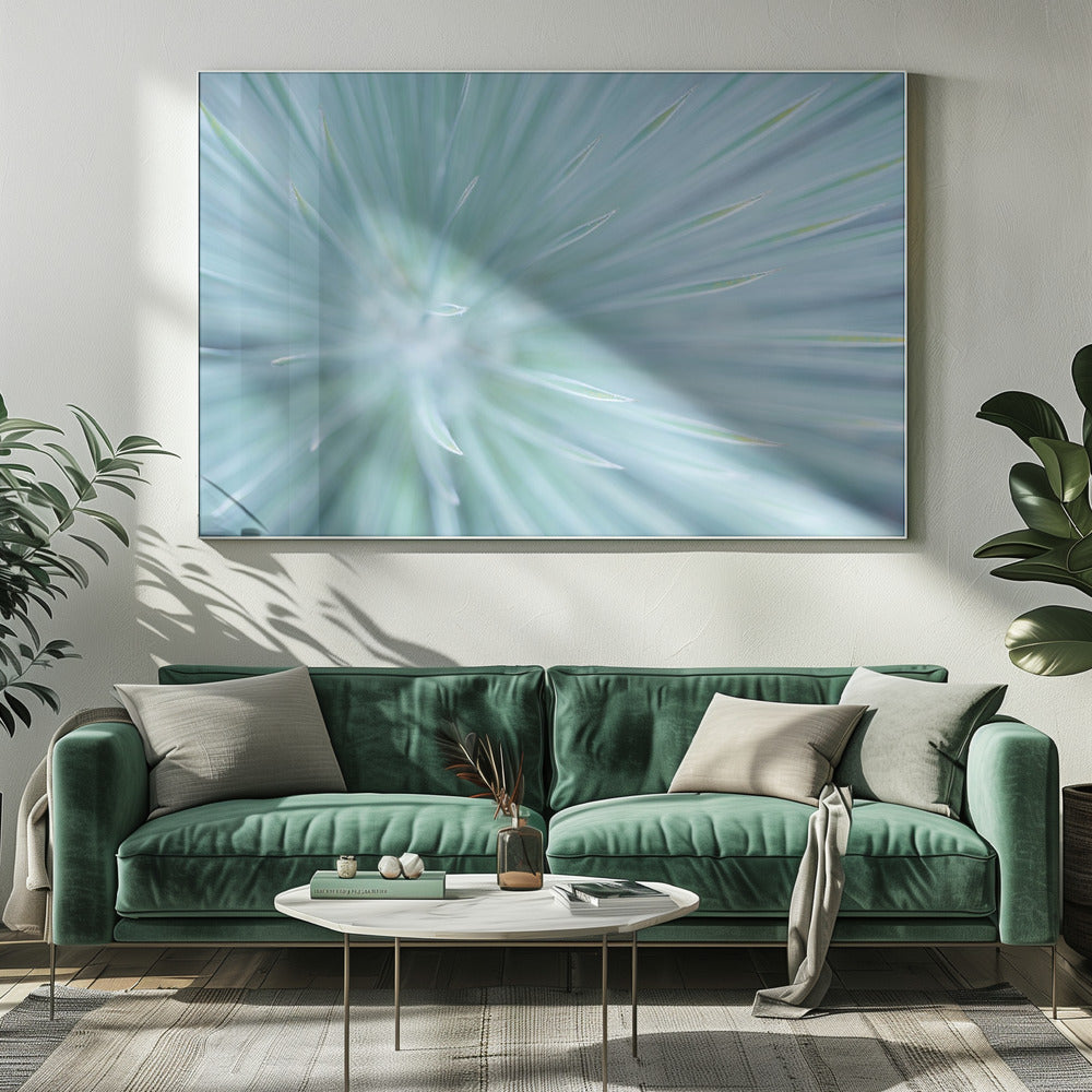 Soft Spikes | Canvas