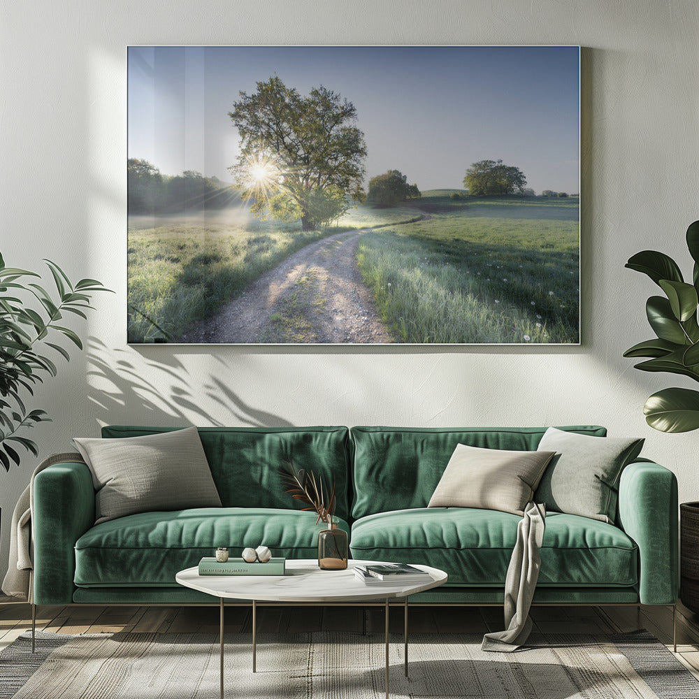 Spring Path | Canvas