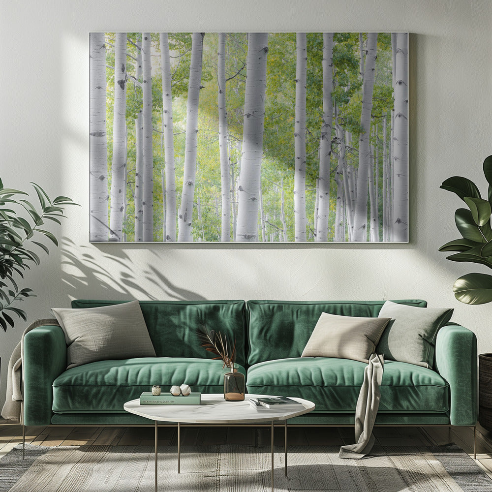 Birch Forest | Canvas